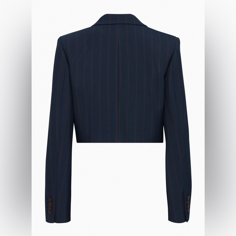 Aritzia Babaton Arbus Blazer - Picture 8 of 10